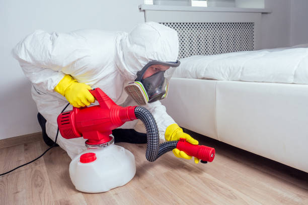 Pest Control Cost in North Shore, CA